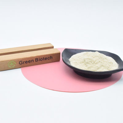 제조업체 핫 판매 자연 알리신 분말 공급 마늘 추출 분말