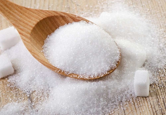감미료 탈린 타우마틴 단백질 ISO HACCP 용매 추출